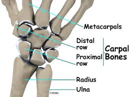 Check spelling or type a new query. Triangular Fibrocartilage Complex Tfcc Injuries Eorthopod Com
