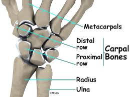 Learn how to see all the different components of the tfcc and how to find them on mri. Conditions And Treatments