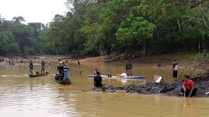 We did not find results for: Ritual Menuba Adat Dayak Minta Hujan Hingga Panen Ikan Kumparan Com