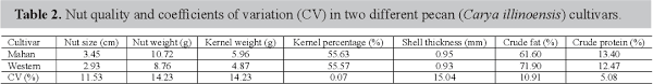 Check spelling or type a new query. Pdf Analysis Of Pecan Cultivars Mahan And Western In East China Semantic Scholar