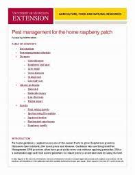 These patches provided by nexmon unlock extra functionality that is not supported in the default raspberry pi drivers. Pest Management For The Home Raspberry Patch