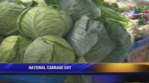 This day is celebrated to thank the nature for giving us another nutrition packed vegetable, cabbage. National Cabbage Day Youtube