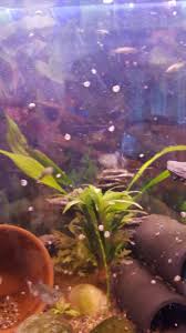 893 ads for fish tank in south africa. Where To Buy Fish Tanks Reddit