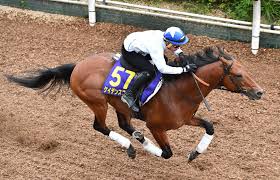 ダノンキングリー (danon kingly) は、日本の競走馬。主な勝ち鞍は2019年の毎日王冠（gii）、共同通信杯（giii）、2020年の中山記念（gii）。 馬名の意味は冠名＋王にふさわしい、王位に君臨することを願って。 Eqsieokbsuqb M