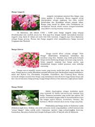 Maka dari itu bunga lily sering dijuluki. 10 Bunga Hias