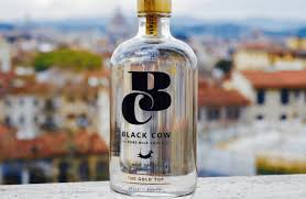 No gluten, grain, dairy, soy. Is Vodka Really Gluten Free On The Sauce Again
