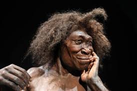 7,796 Neanderthal Stock Photos and Images - 123RF