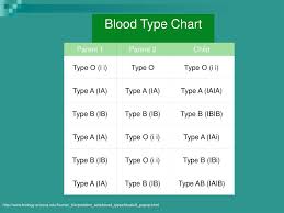 ppt example of multiple alleles powerpoint presentation