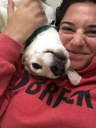 Classification system for dogs based