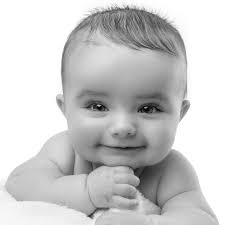 White Pineapple Photography