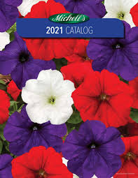 Fill your cart with color today! Michell S 2021 Catalog By Michell S Issuu