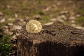 Now that we are aware of how long it takes to mine 1 bitcoin, let's study how much it costs. What Is Bitcoin S Environmental Impact And What Are The Solutions