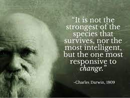 Like species, couples die out or evolve. Creative Disruption Darwin Quotes Charles Darwin Quotes Evolution Quotes