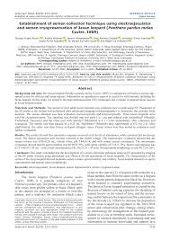 PDF) Establishment of semen collection technique using electroejaculator  and semen cryopreservation of Javan leopard (Panthera pardus melas Cuvier,  1809)
