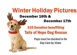 We did not find results for: Events Camp Bow Wow Memphis Balmoral