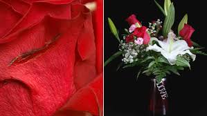 Maybe you would like to learn more about one of these? Flower Delivery Services You May Not Get What You Pay For