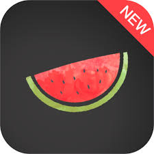 Melon Vpn Apk 3 8 800 Latest Download