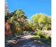Rose Canyon Ultra
