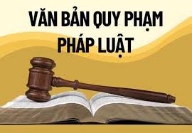 Đẩy mạnh công tác tổng rà soát văn bản quy phạm pháp luật thuộc lĩnh vực văn  hóa cơ sở, gia đình và thư viện - Vụ Thư Viện