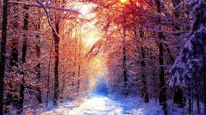 Here you can explore hq snowy transparent illustrations, icons and clipart with filter setting like size polish your personal project or design with these snowy transparent png images, make it even more. Kabbalistic Village Snowy Forest Relaxing Chill Out Free Background Music Youtube