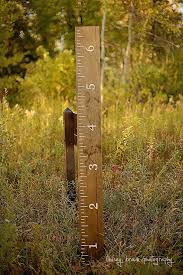Huge Oversized Growth Chart Ruler Hand Painted Solid Wood