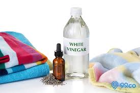 Kue basah kue kering nastar bolu brownies. 5 Cara Membersihkan Mesin Cuci Yang Benar Terlihat Seperti Baru Lagi