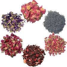 We did not find results for: Dried Flower For Soap Making Artisan Floral And Herbs Set Incl Wild Rose Petal And Lavender