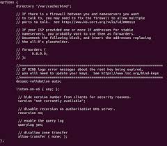 Set Up Bind Authoritative Dns Server On Debian 10 Buster