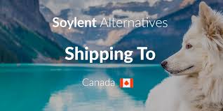 Featured in the new yorker, the verge, motherboard and lifehacker. Soylent Alternatives Shipping To Canada By Jeremie Ges Medium