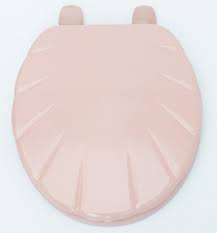 We did not find results for: Cavalier Shell Shape Design Coral Pink Group 1 Pink Toilet Seat Lid And Fittings