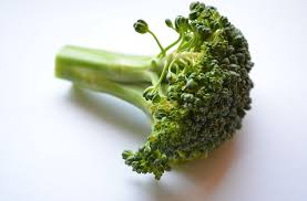 Can my cat eat broccoli? Can Guinea Pigs Eat Broccoli Leaves Florets Or Stalks