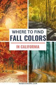 Finding Fall Colors In Bishop California No Back Home California Travel Road Trips Fall Road Trip California Travel