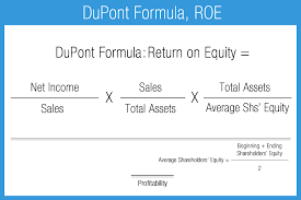 Du Pont Formula Accounting Play