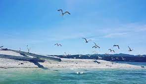 Shell Island In Port Hardy Never Disappoints Tropics Nope North Island Gem Great Share From Macaponi Visitporthard Shell Island Port Hardy Canoe Trip