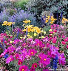 We chose here because … the other three members of the group had dined here before and recommended it as one of bend's best restaurants. Flower Border At Old Mill Friday Flowers Bend Branches