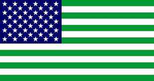The number of stripes points to our national birth. What Is The Meaning Of The Black Red And Green American Flag Quora
