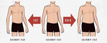 the bulking guide for skinny fat guys