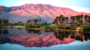 Image result for Palm Springs