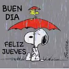 BUENOS DIAS❤️????☔️☕️#felizdia #mañanas #buenosdias #bonitodia #buendia #Dios  #positivo #AtreveteAProbar #happy #Diosteama #lluvia #lluvioso #frio