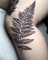 Keith Hayes On Instagram Got To Do This Fern Leaf I Love Side Of The Knee Tattoos Ferntattoo Dotworktattoo Blackwork Tattoos Knee Tattoos Knee Tattoo
