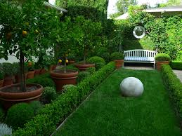 These trees will combat deforestation in the region and be an ongoing source of tasty nutrition for years to come. What A Pretty Garden Front Yard Landscaping Potted Trees Small Gardens