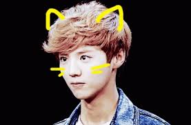 Find funny gifs, cute gifs, reaction gifs and more. Exo Luhan Gif Exo Luhan Kpop Discover Share Gifs