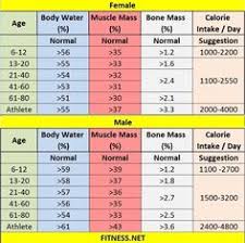 what is a healthy bone mass percentage