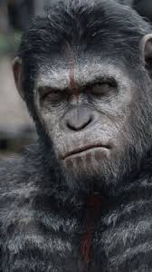 Caesar Planet Of The Apes 253x450 Download Hd Wallpaper Wallpapertip Space art, fantasy art, fantasy, galaxy, planet, universe, planets, space, hd wallpaper. caesar planet of the apes 253x450