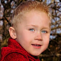 Brayden Archer's Instagram, Twitter & Facebook