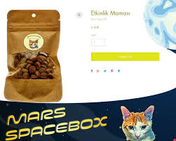 Siparisleriniz Icin Internet Sayfamizdan Veya Direkt Mesaj Ile Bizlere Ulasabilirsiniz Https Marsspacebox Wixsite Com Home Kedi Kopek Kedi