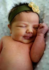 Who put my iPad in the dishwasher?: Learn about the Megow Kids' Names