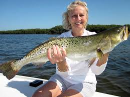 Nearest shops sports in charlotte nc and surroundings (58). Big Rock Sports Wholesale Shooting Fishing And Taxidermy Distributor