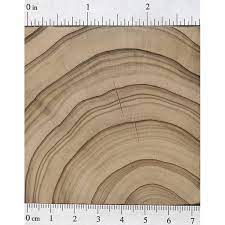 In the united states, it has become a valued landscape plant and one of the most sought after christmas trees. Leyland Cypress The Wood Database Lumber Identification Softwood