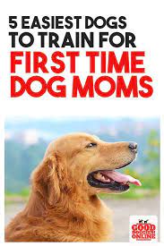5 Easiest Dogs To Train For First Time Dog Moms Good Doggies Online In 2021 Easiest Dogs To Train Good Doggies Online Dog Mom